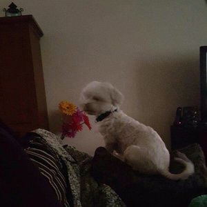 Meet your Posher, Lorena